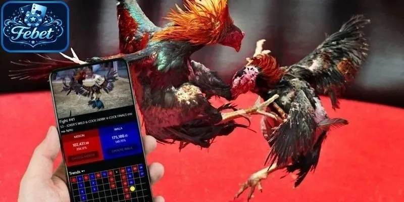 Có nhiều vé cược để tham gia