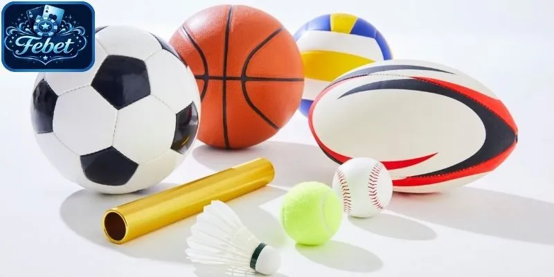 Giới thiệu về thể thao CMD Febet