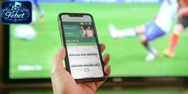 Đa dạng bộ môn tại thể thao SABA Febet