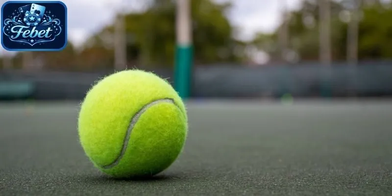 Quần vợt – Tích hợp nhiều giải lớn, tỷ lệ rõ ràng