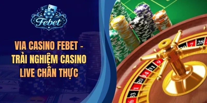 VIA Casino Febet - Trải Nghiệm Casino Live Chân Thực